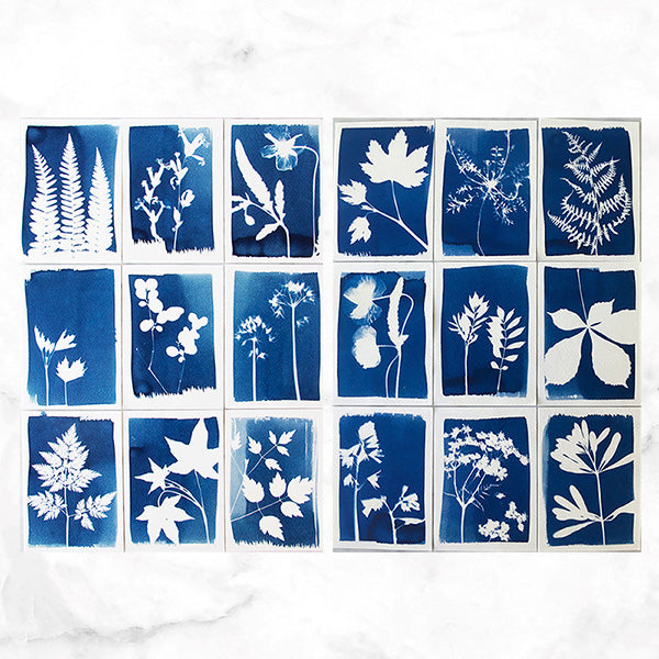 The Cyanotype Creation Kit - Atwater Designs