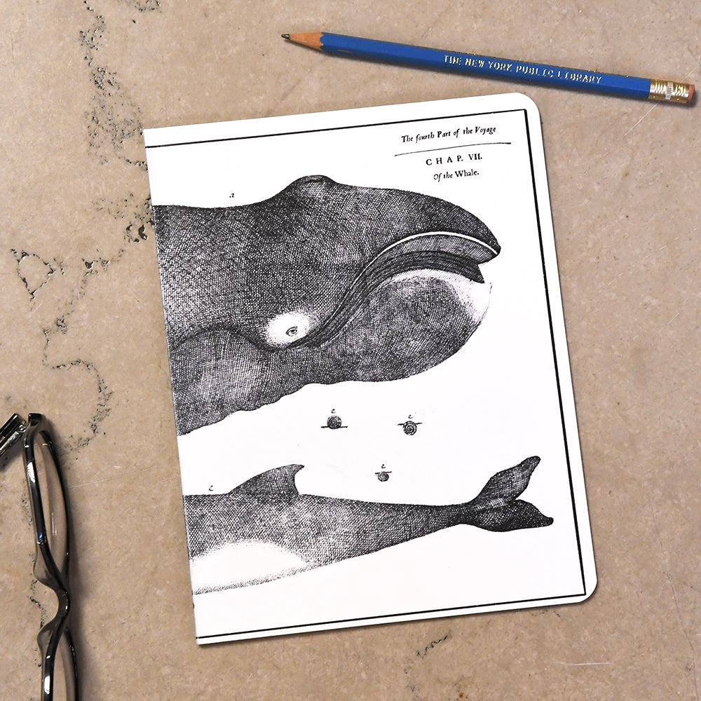 NYPL Whales Notebook