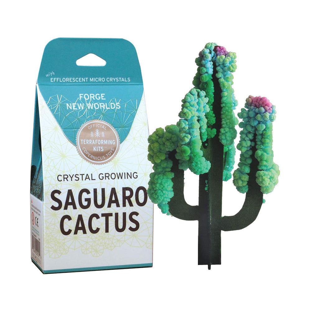 Crystal Growing: Saguaro Cactus