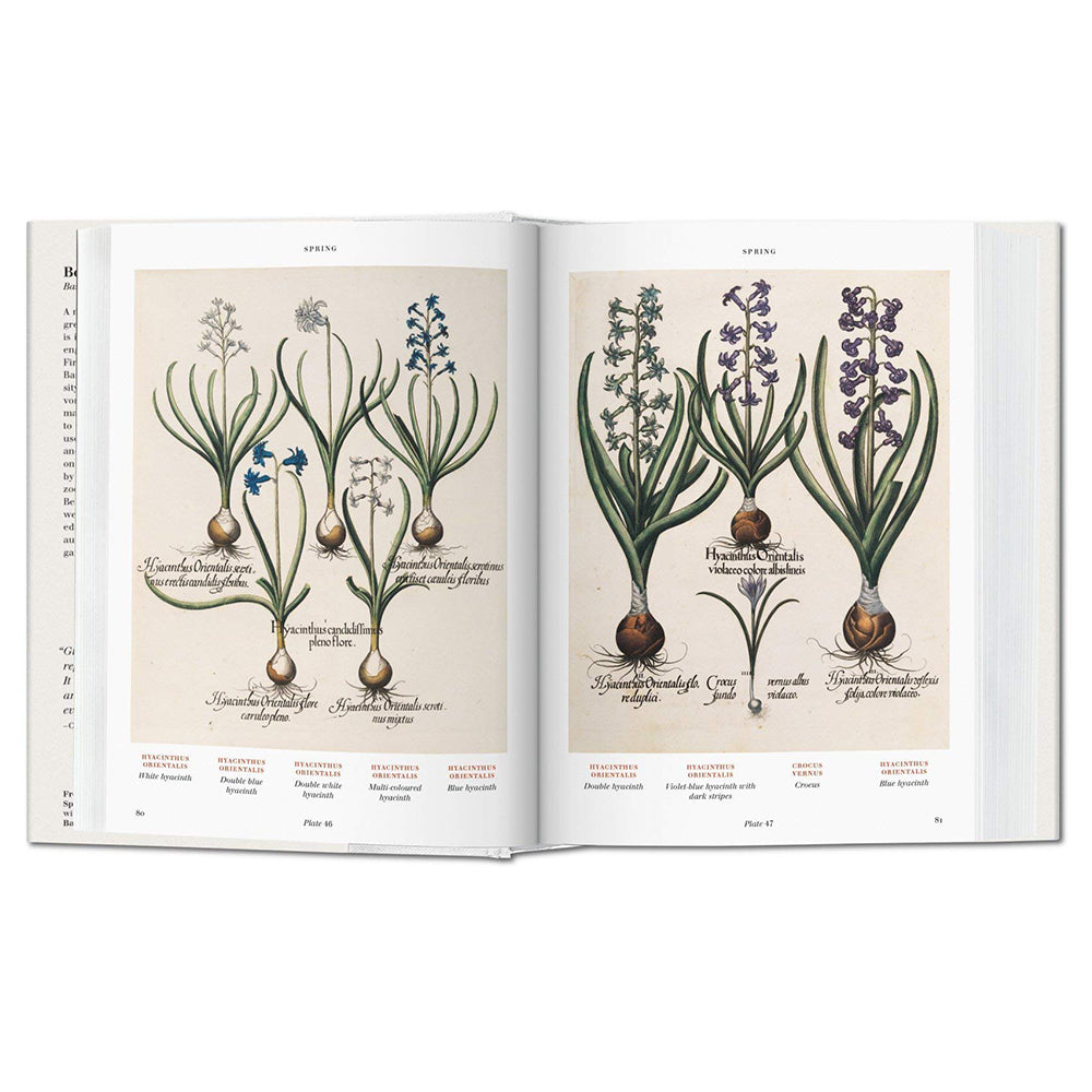 Florilegium: The Book of Plants
