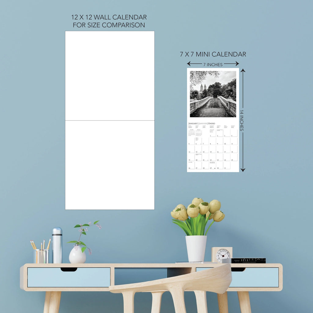 Black & White New York 2025 Mini Wall Calendar