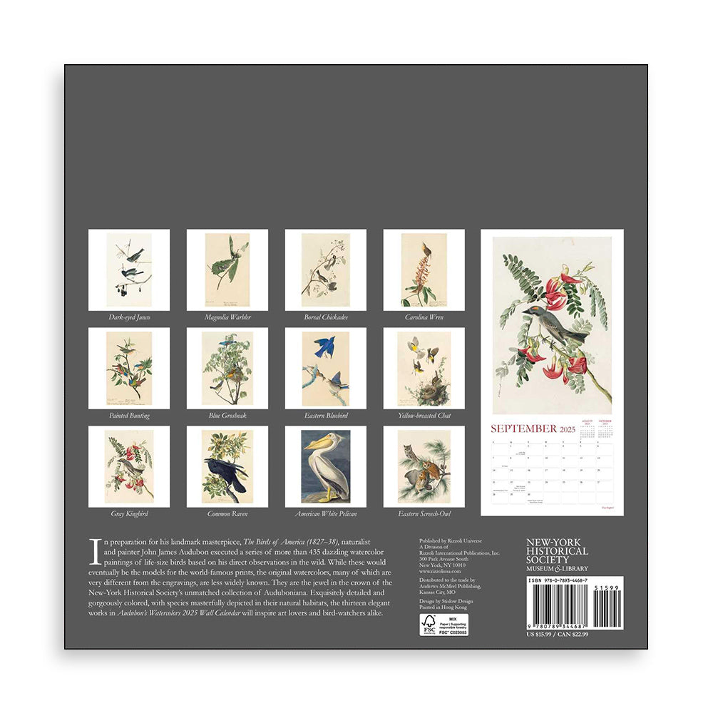 Audubon’s Watercolors 2025 Wall Calendar