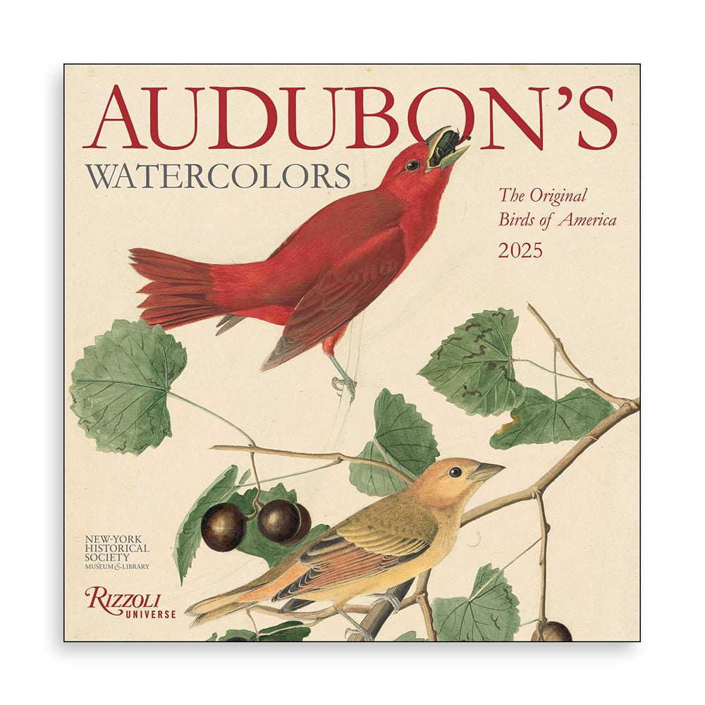 Audubon’s Watercolors 2025 Wall Calendar