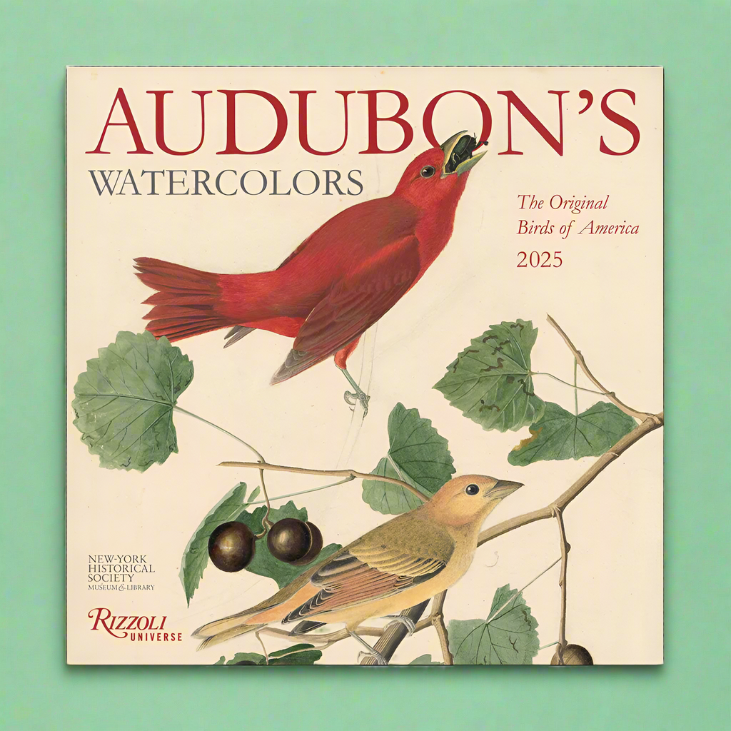 Audubon’s Watercolors 2025 Wall Calendar