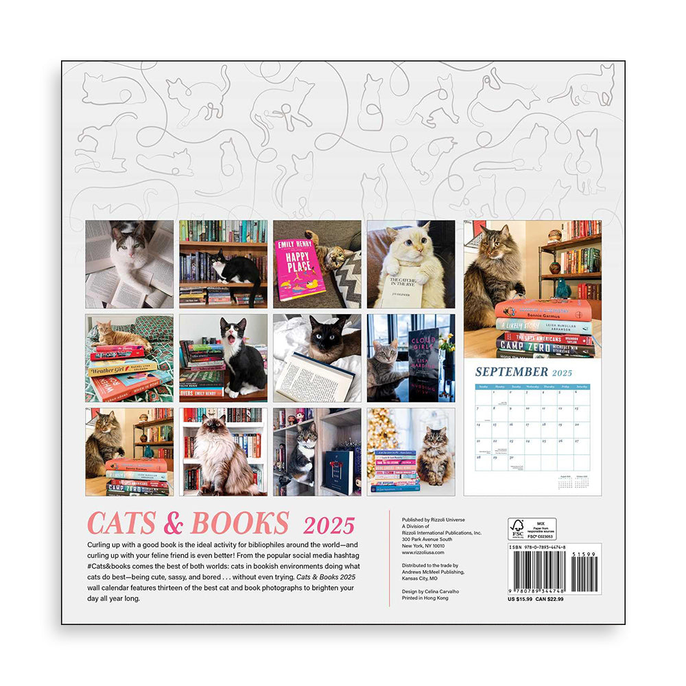 Cats & Books 2025 Wall Calendar