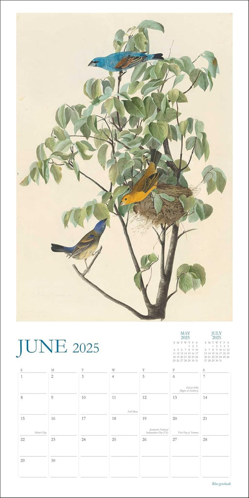 Audubon’s Watercolors 2025 Wall Calendar