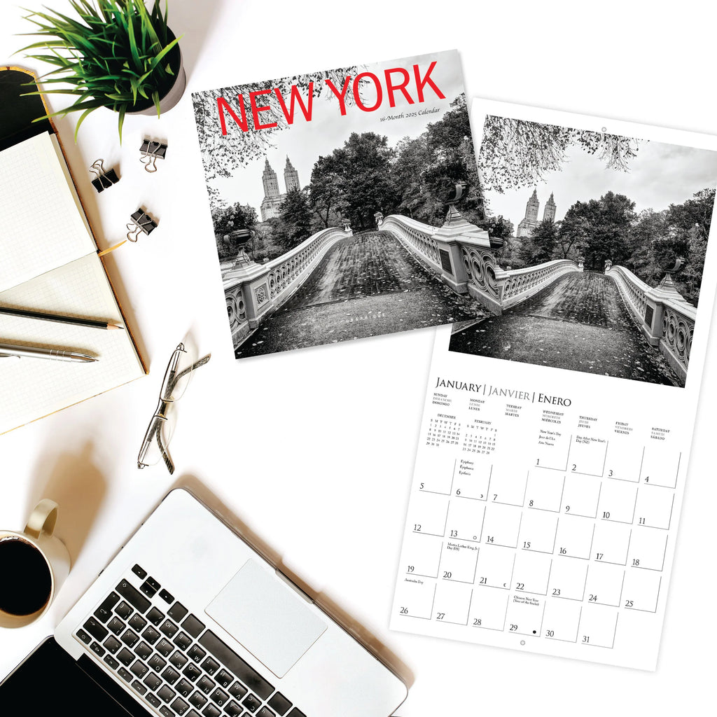 Black & White New York 2025 Mini Wall Calendar