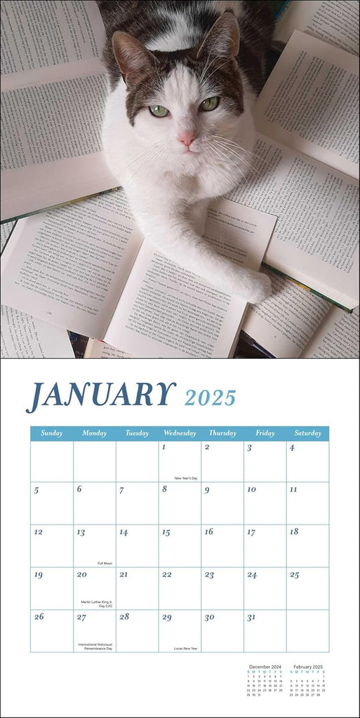 Cats & Books 2025 Wall Calendar