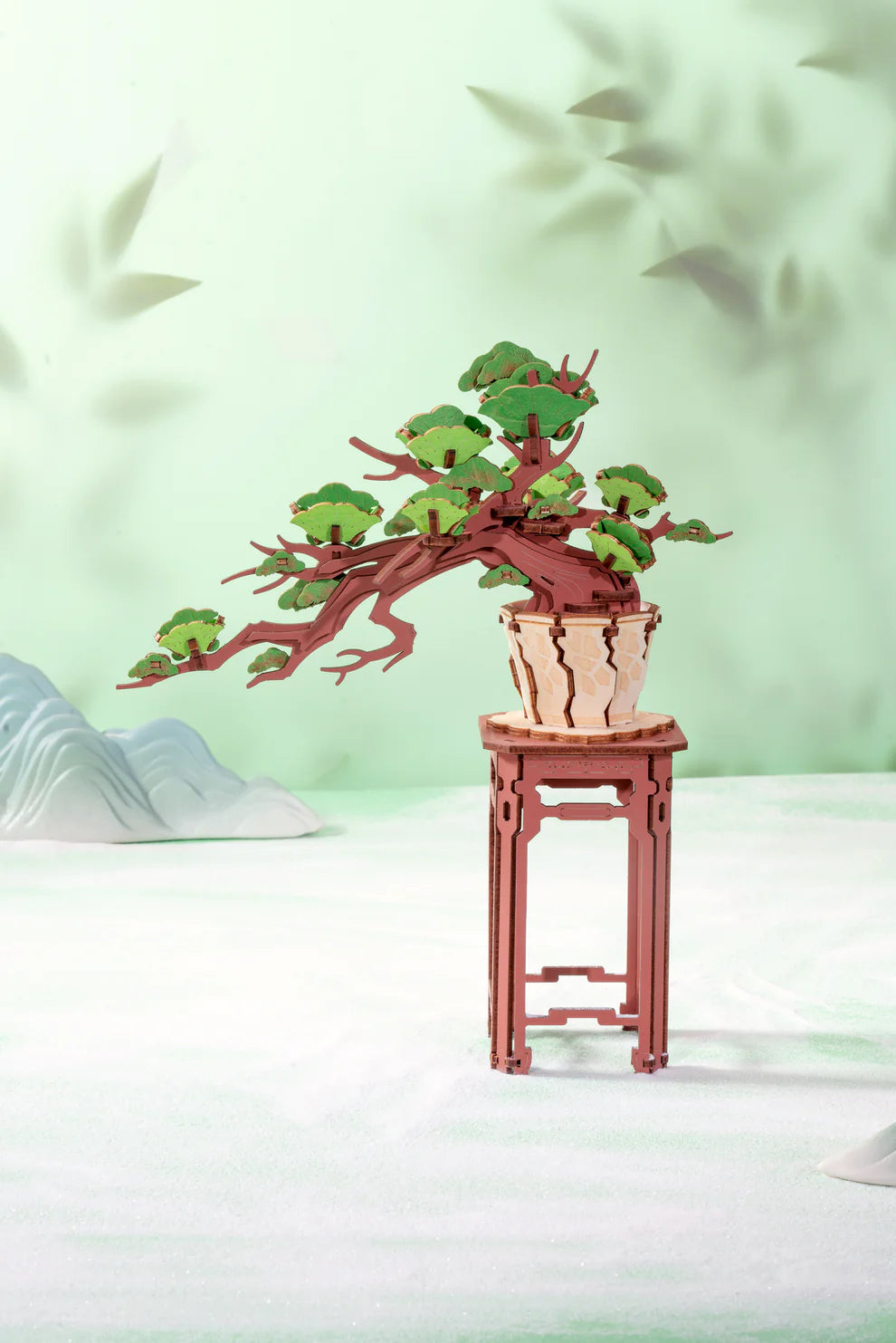 Evergreen Pine Bonsai