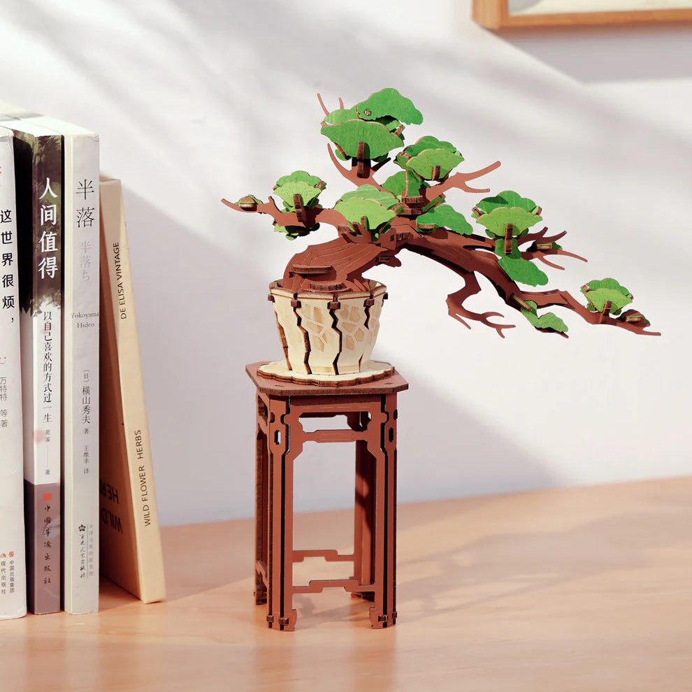 週末値下CARDIFF CRAFT BONSAI 158 LIMITED Evergreen Pine Bonsai DIY Wooden Craft | The New York Public