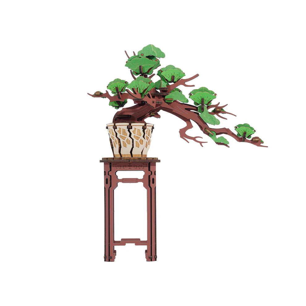 Evergreen Pine Bonsai DIY Wooden Craft | The New York Public