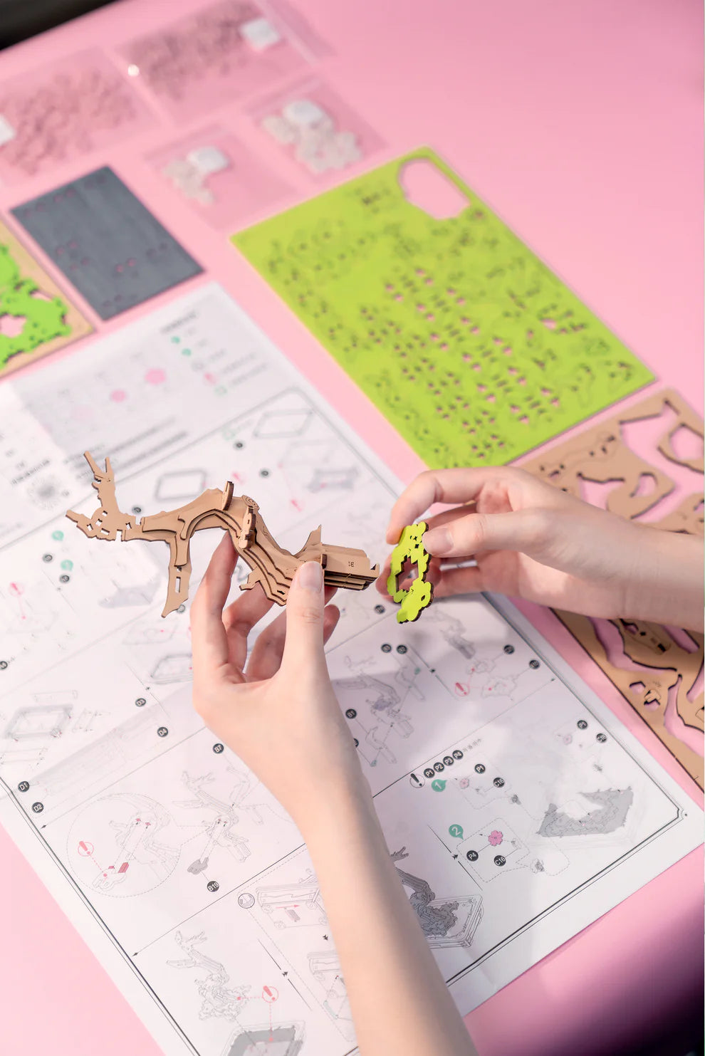 Hands Craft 3D Wooden Puzzle