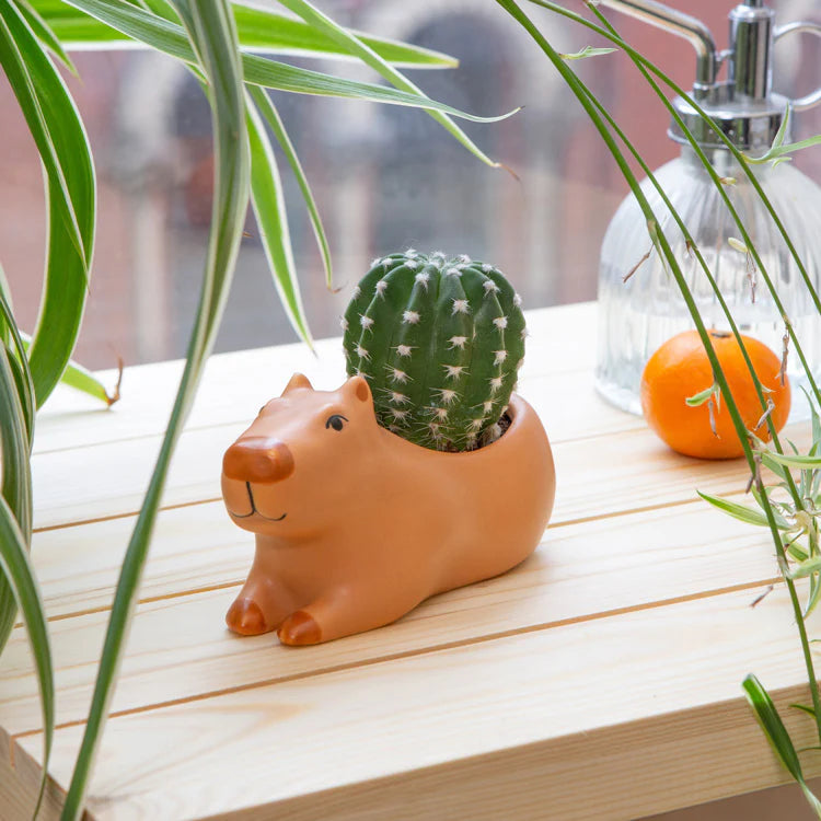 animal pots for succulents Cappy the Capybara Planter