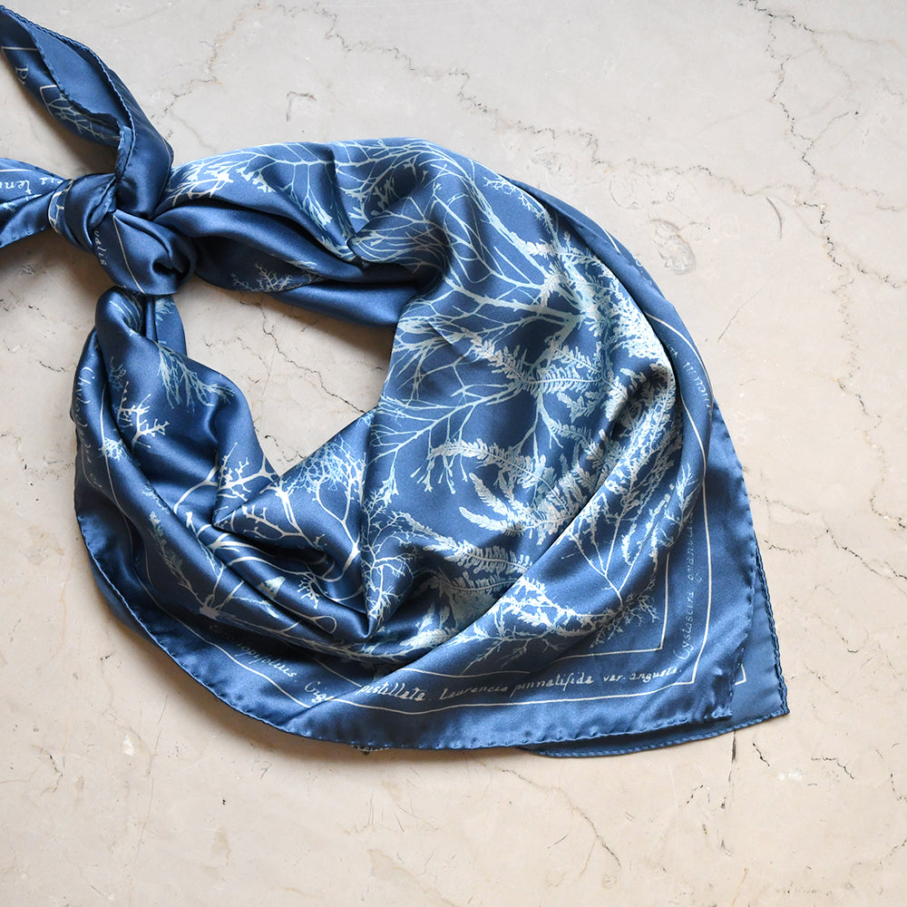 NYPL Anna Atkins Silk Scarf | The New York Public Library Shop