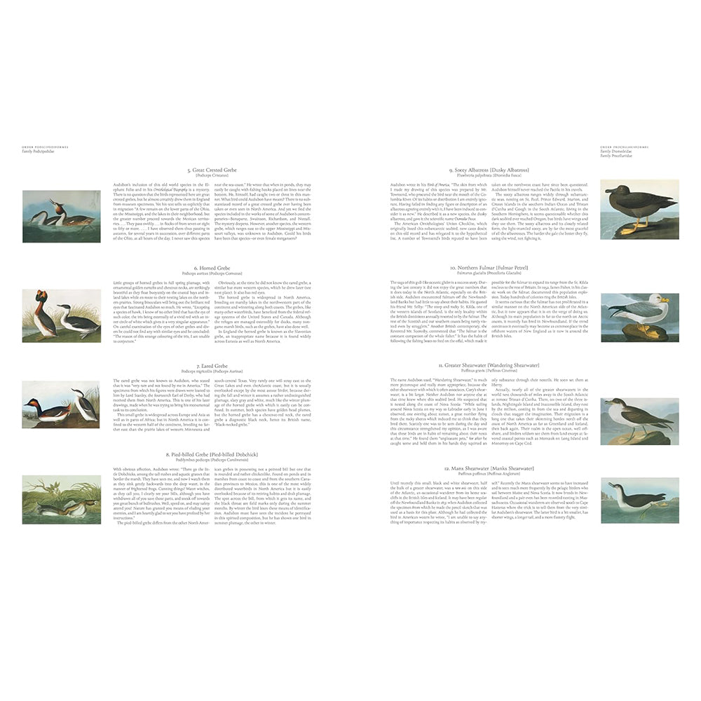 Audubon's Birds of America: Baby Elephant Folio