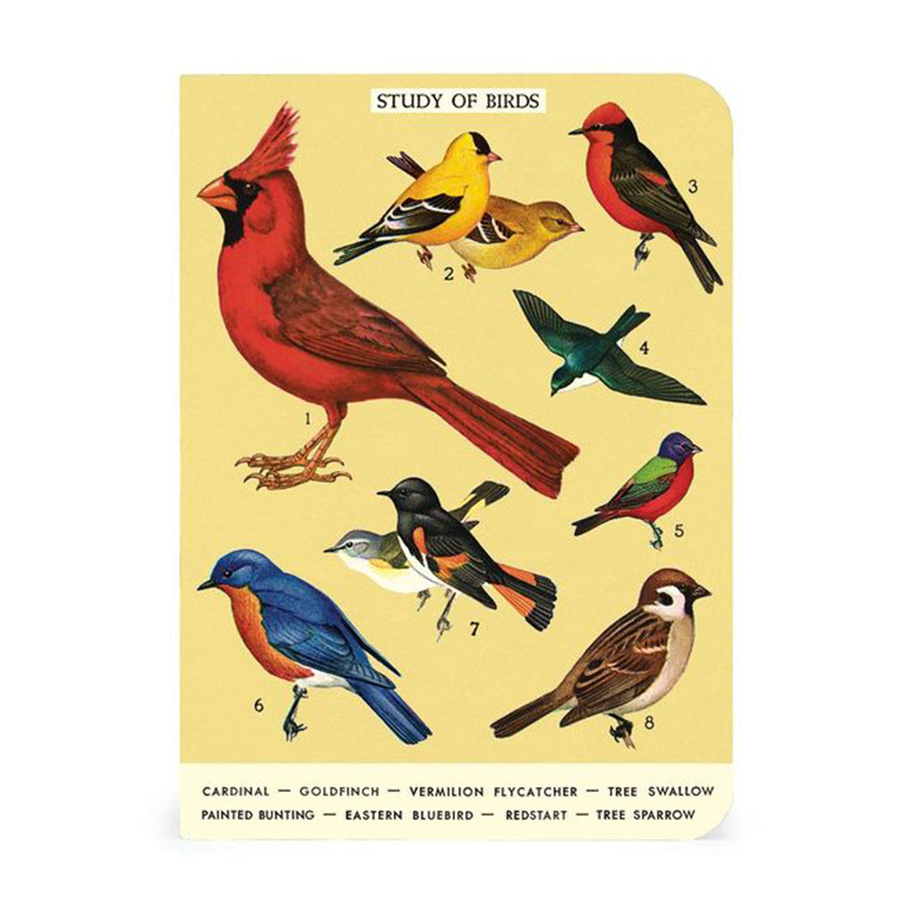 Bird Watching Mini Notebooks Set