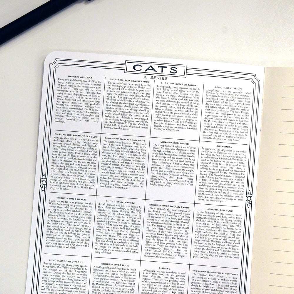 NYPL Cats Notebook