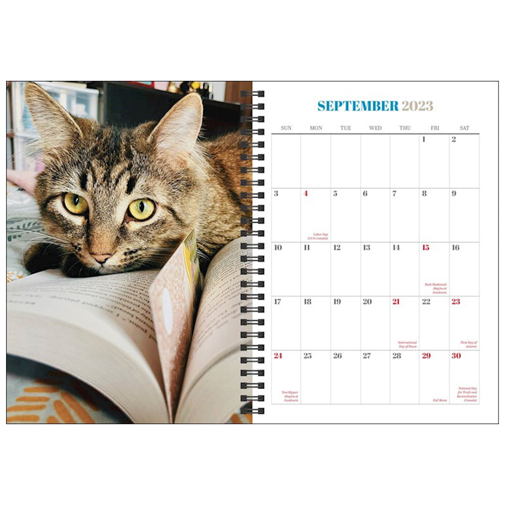 Cats & Books 16-Month 2024 Planner