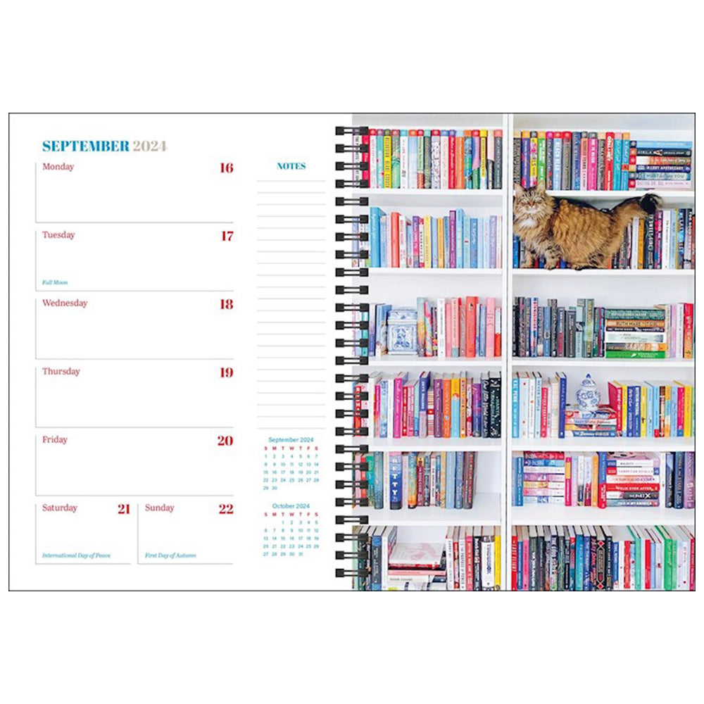 Cats & Books 16-Month 2024 Planner