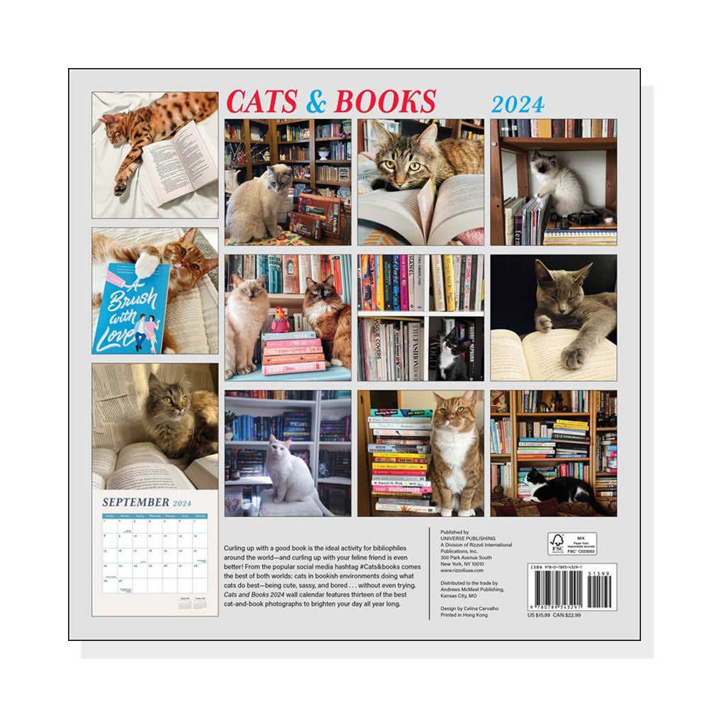 Cats & Books 2024 Wall Calendar