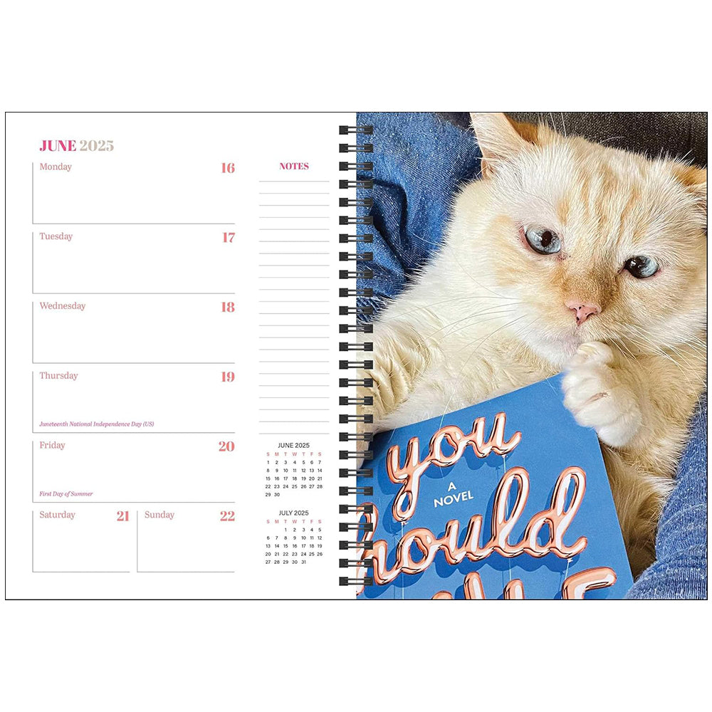 Cats & Books 12-Month 2025 Planner