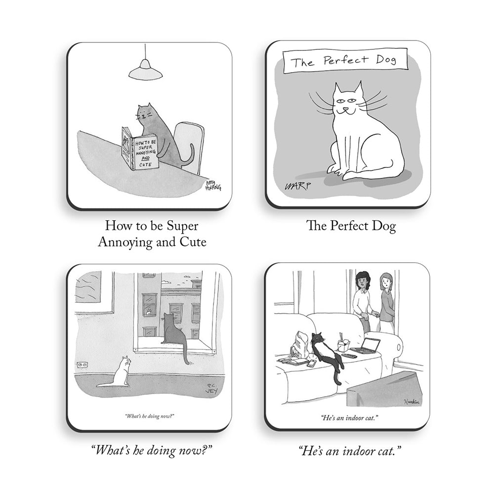 Cats New Yorker Coasters