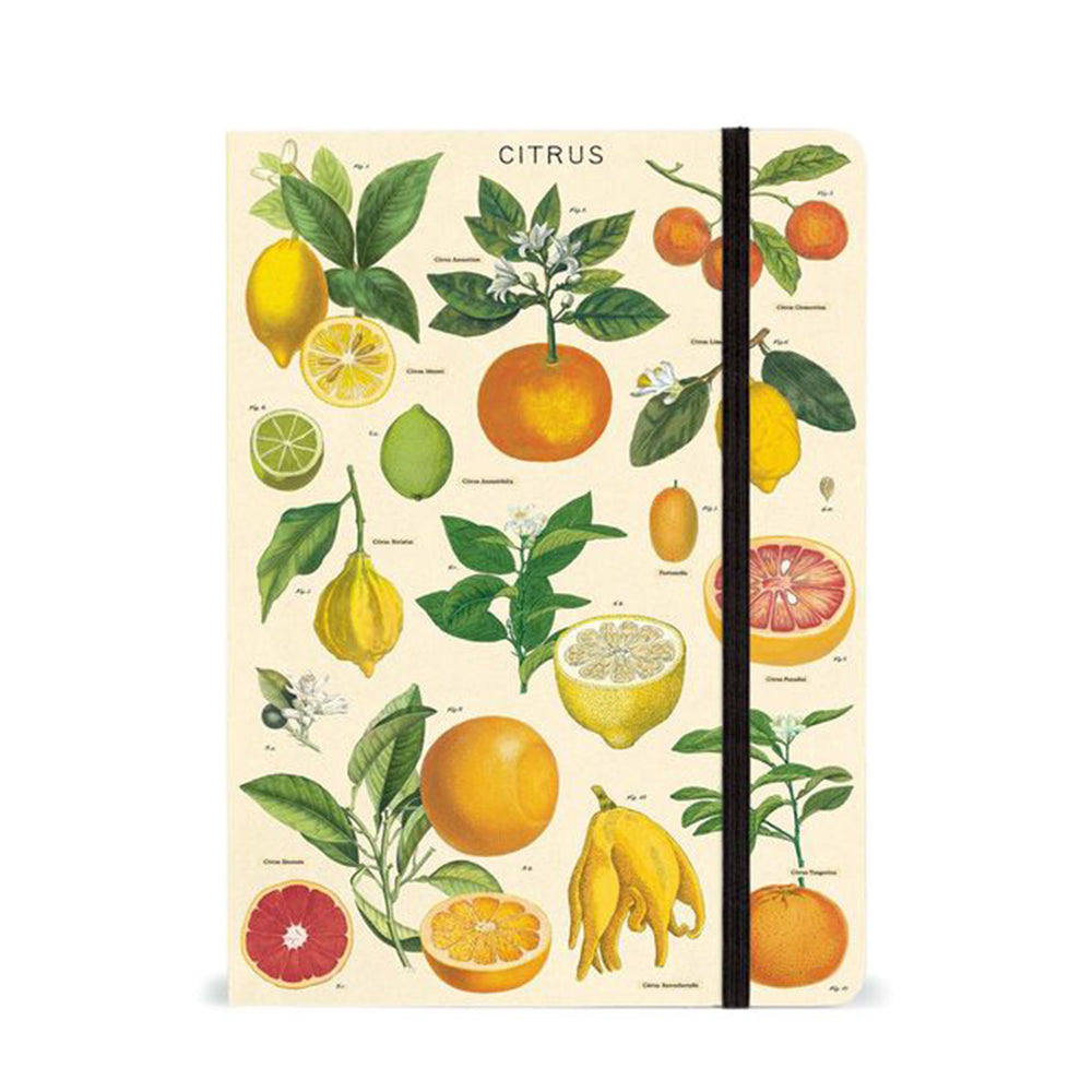Vintage Citrus Notebook