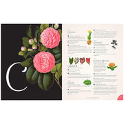 complete-language-flowers-
