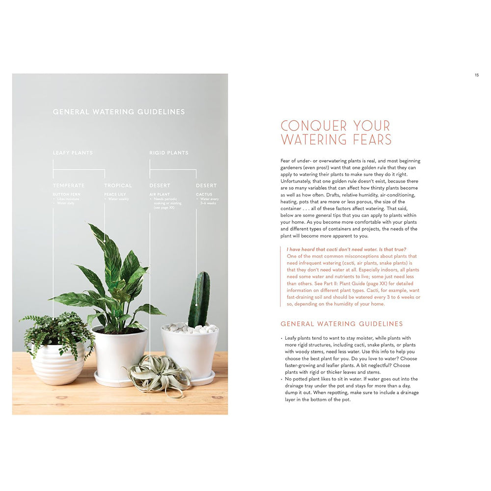 The Inspired Houseplant: Transform Your Home with Indoor Plants