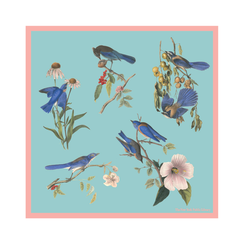 NYPL Audubon Blue Birds Double-Sided Silk Scarf