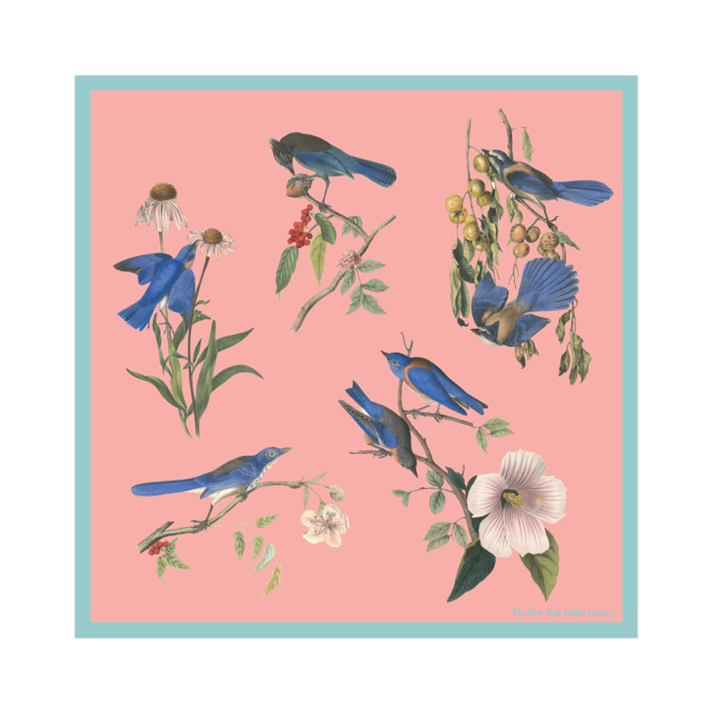 NYPL Audubon Blue Birds Double-Sided Silk Scarf