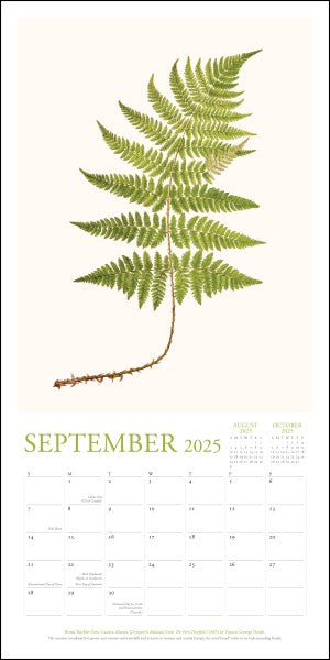 New York Botanical Garden 2025 Wall Calendar