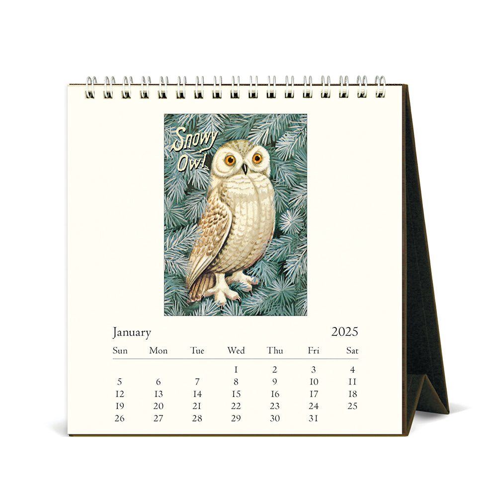 Vintage Owls 2025 Desk Calendar