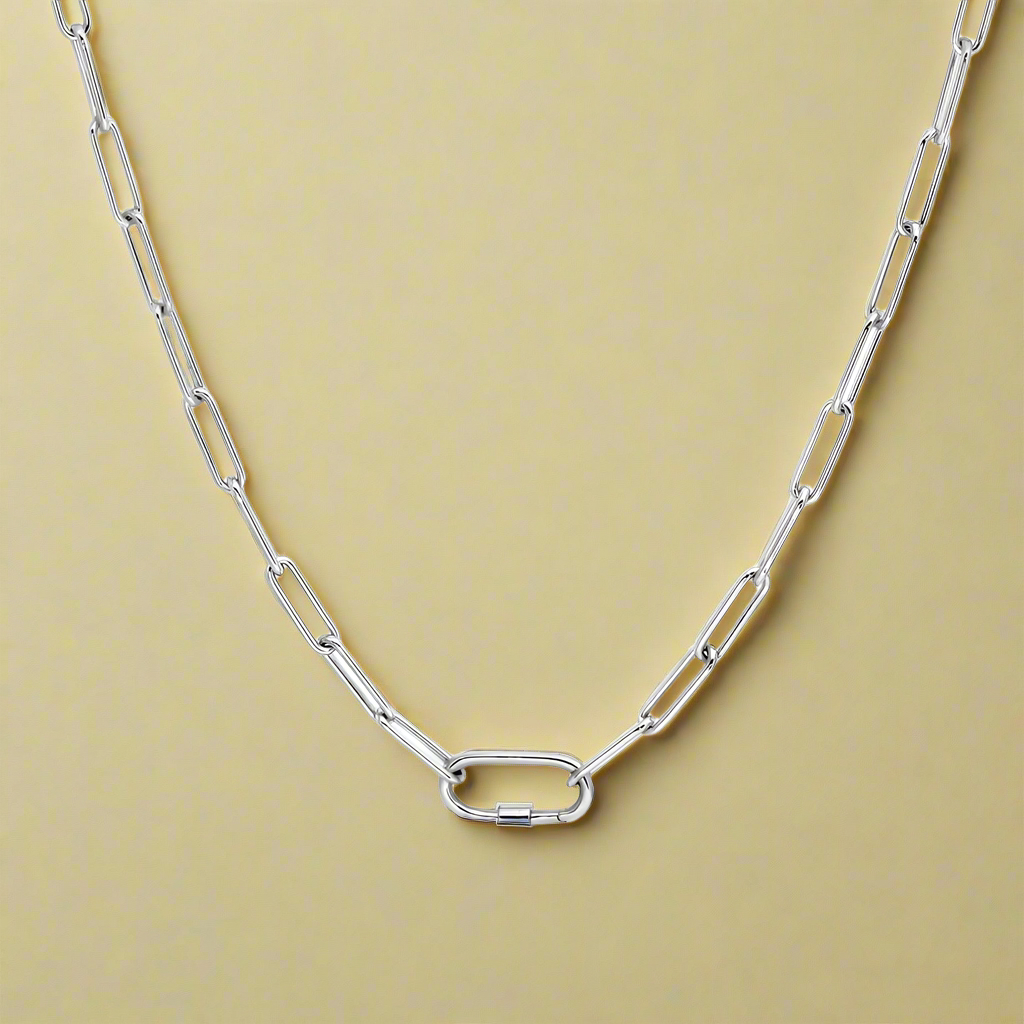 Silver The Daily Charm Necklace