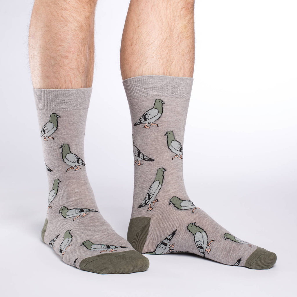 Pigeons Men's Socks
