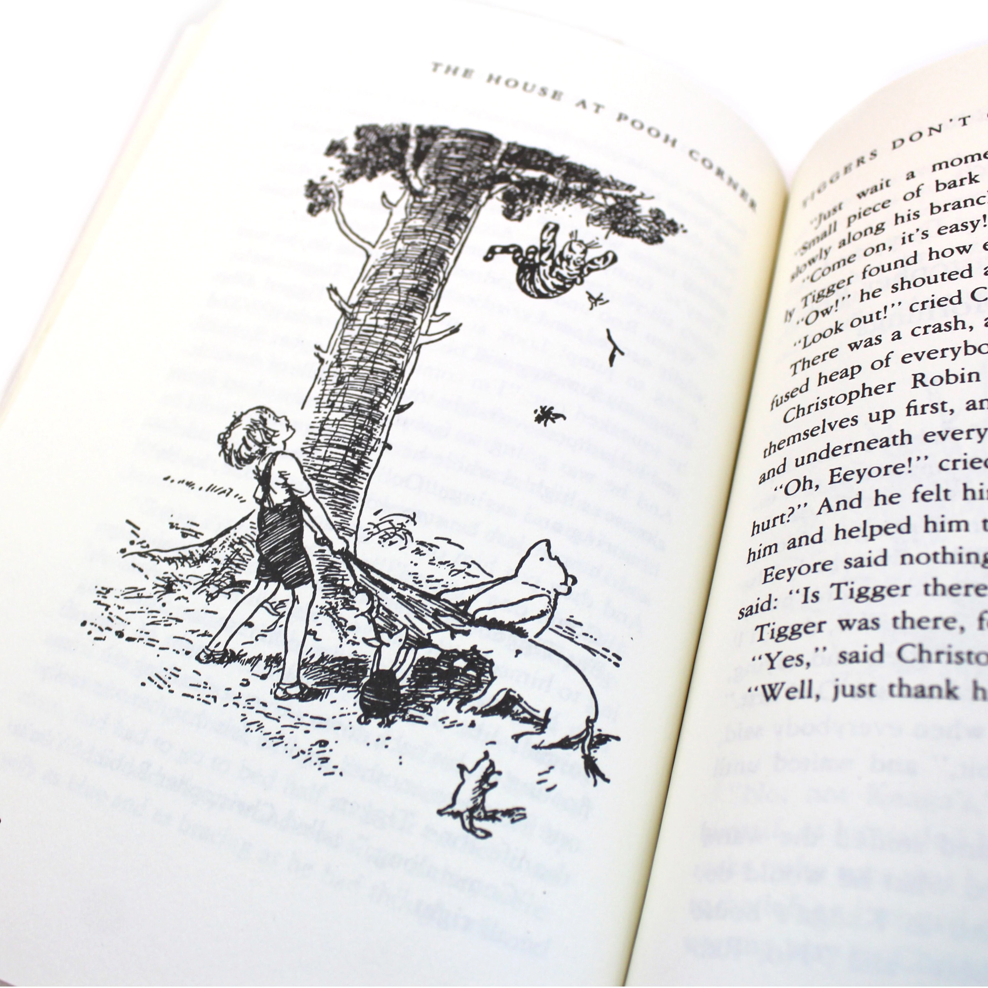 The House at Pooh Corner (Classic Gift Edition) | The New York