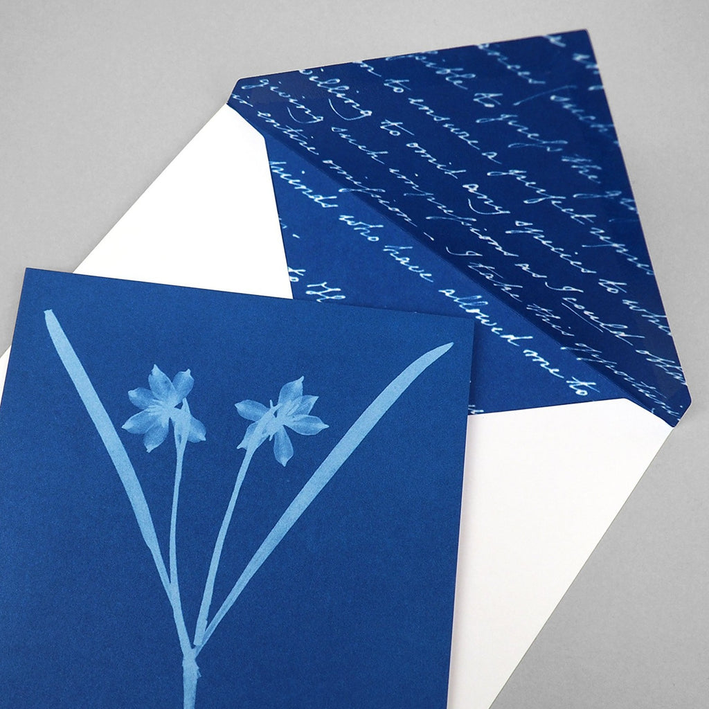 Anna Atkins Cyanotypes: 12 Sunprint Notecards