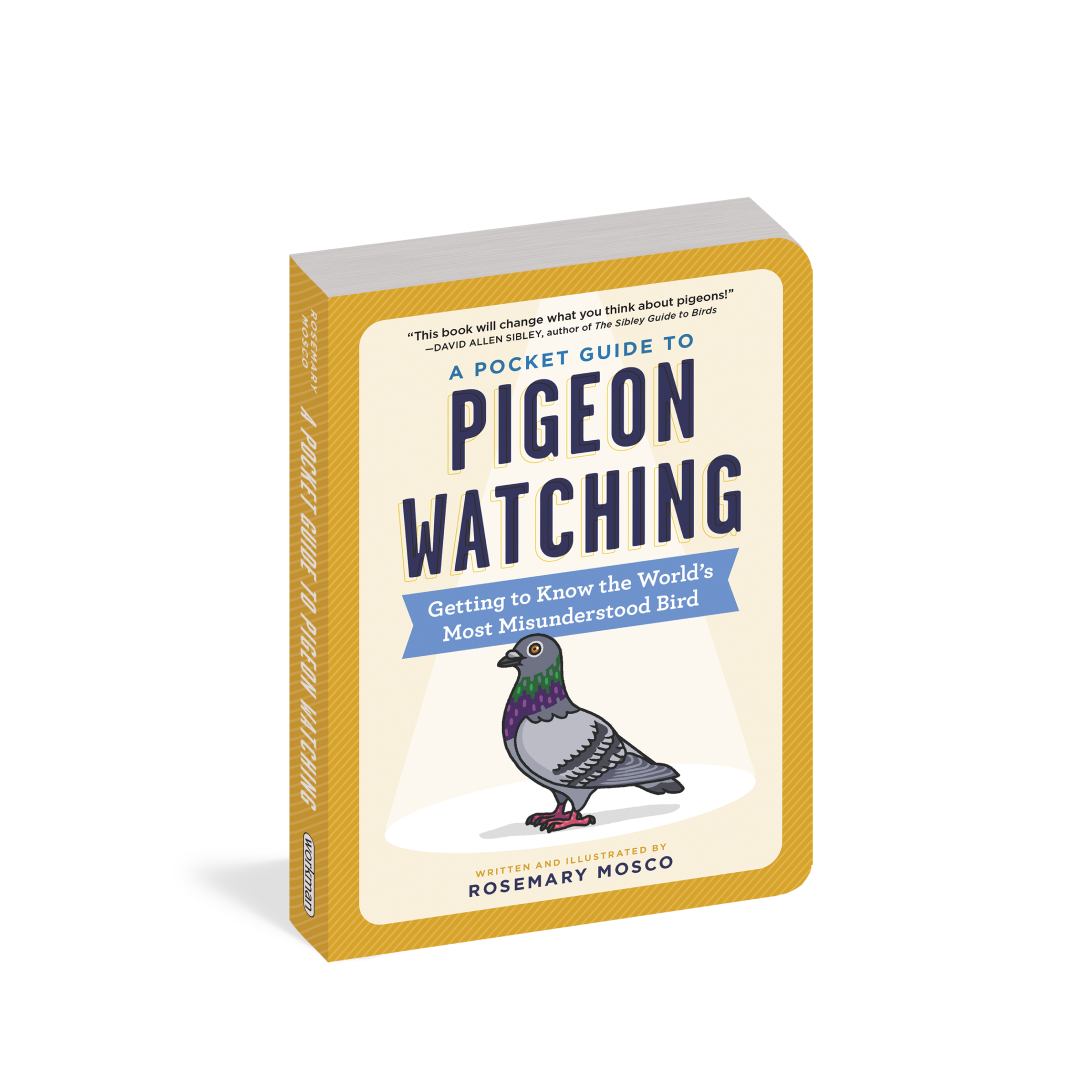 Pigeon Racing Quotes Ingrid Newkirk Quote: “Pigeon Racing Is A