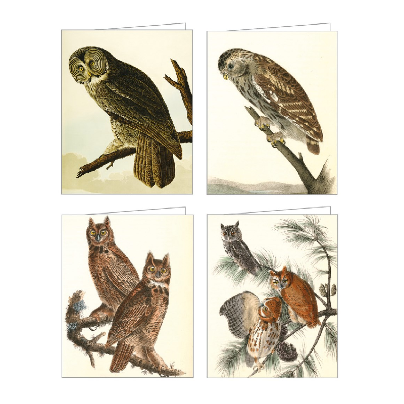 Audubon Owls Notecards