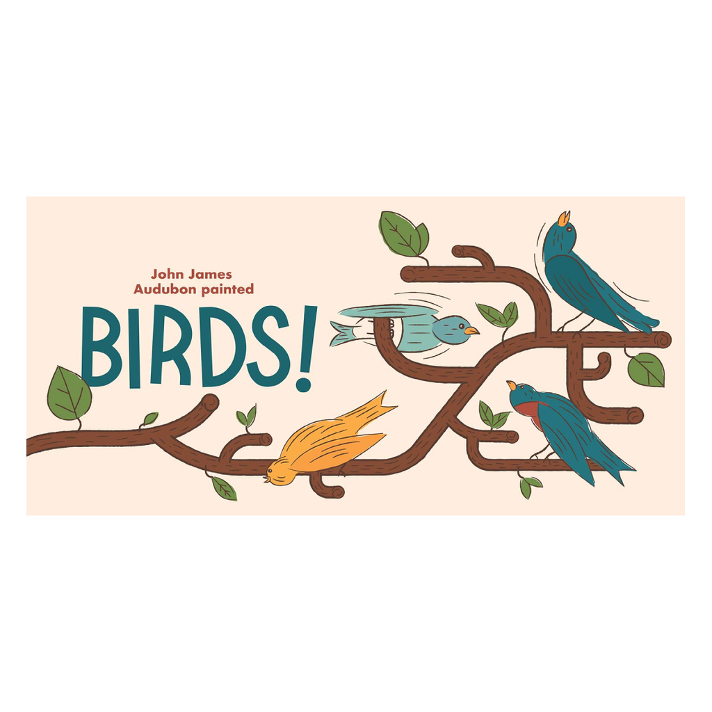 Little Naturalists: Audubon Painted Birds