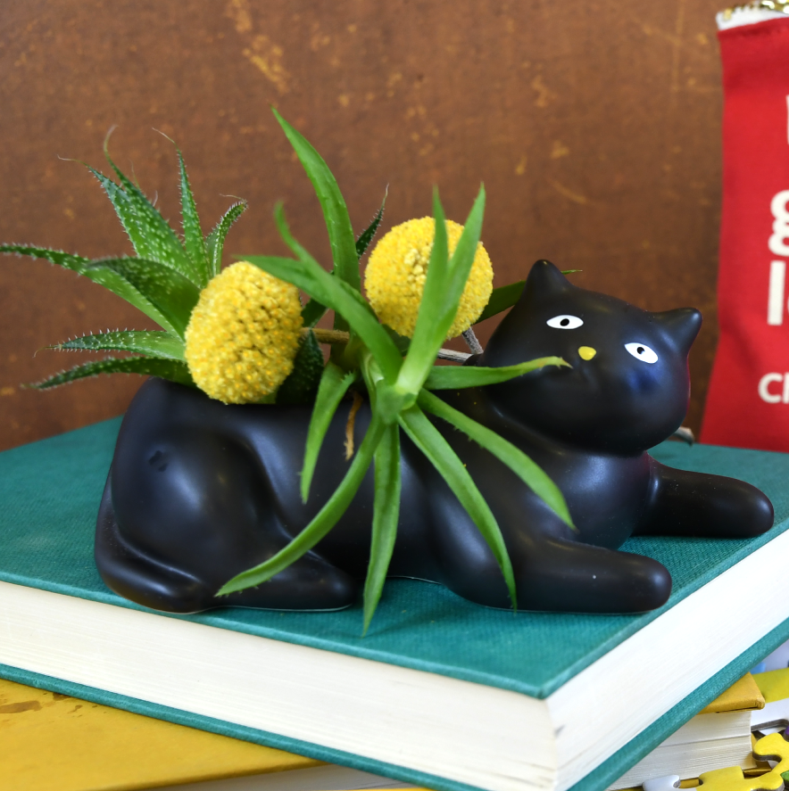 Cosmo The Black Cat Planter | The New York Public Library Shop