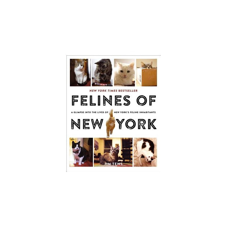 Felines of New York - The New York Public Library Shop