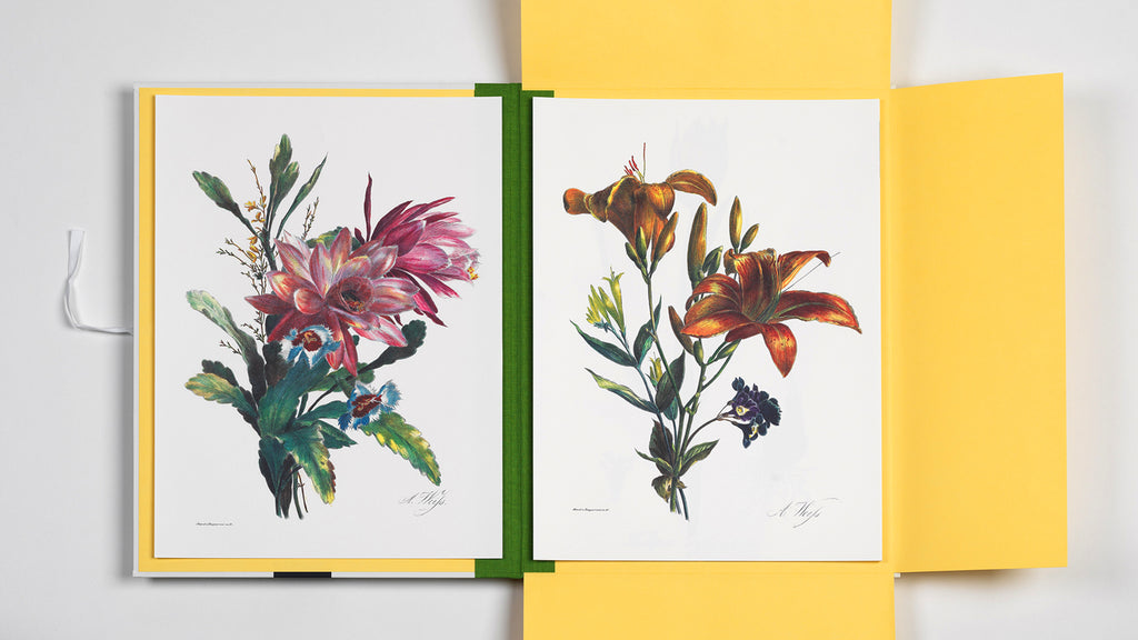 Art Portfolio: Flower Prints