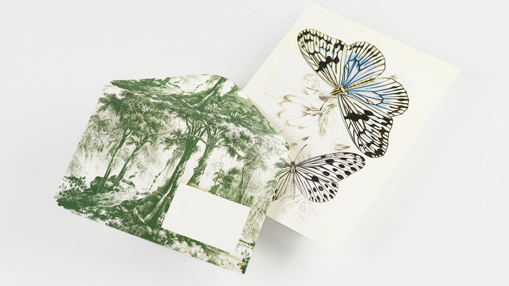 Letter Writing Set: Natural History