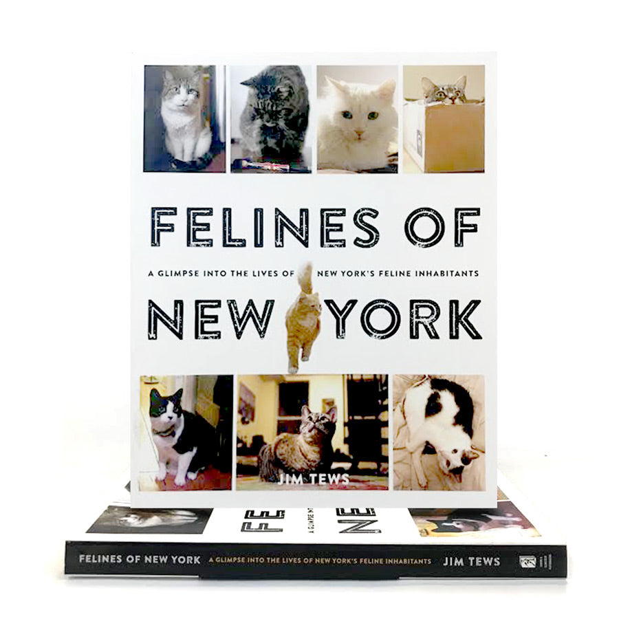 Felines of New York - The New York Public Library Shop