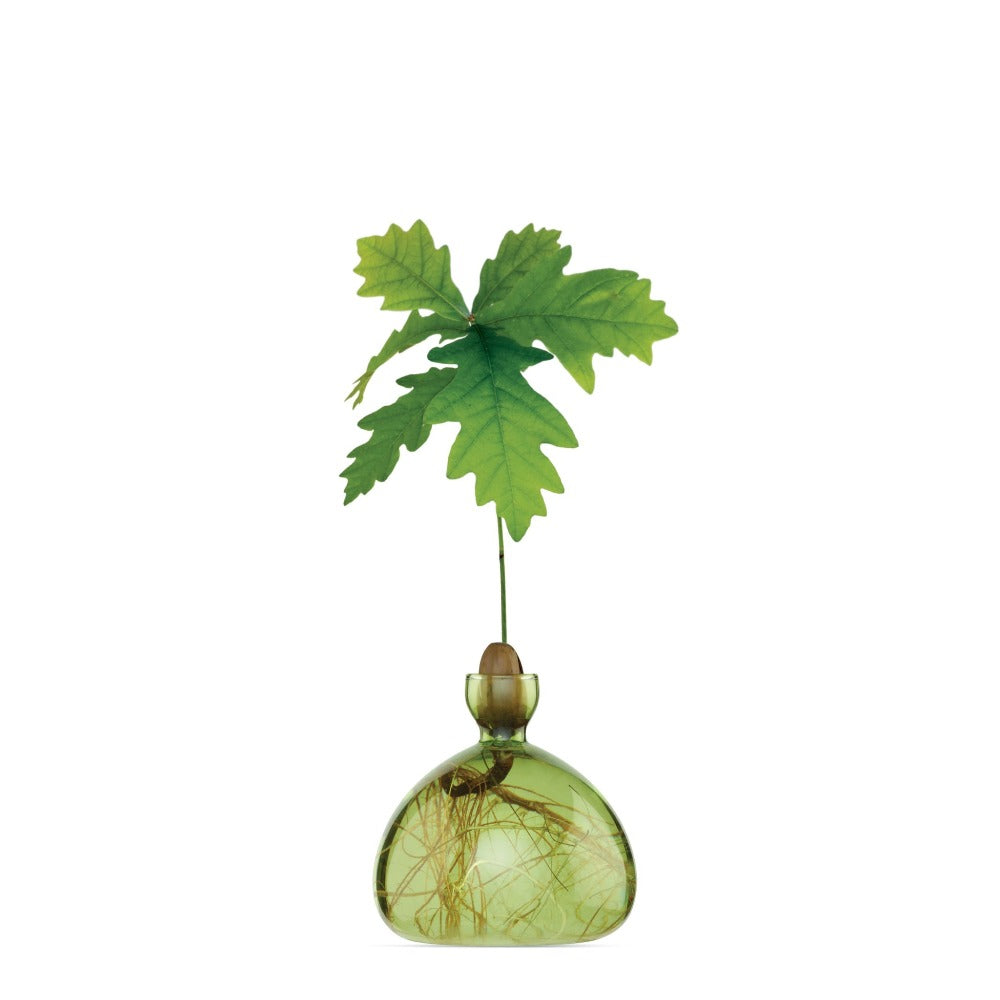 Grass Green Acorn Vase