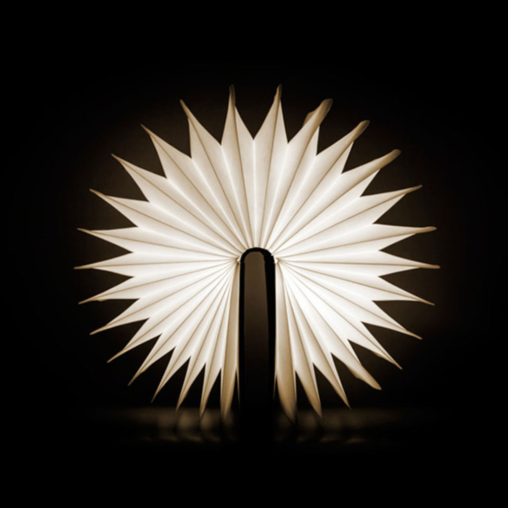 Book Light - The New York Public Library Shop