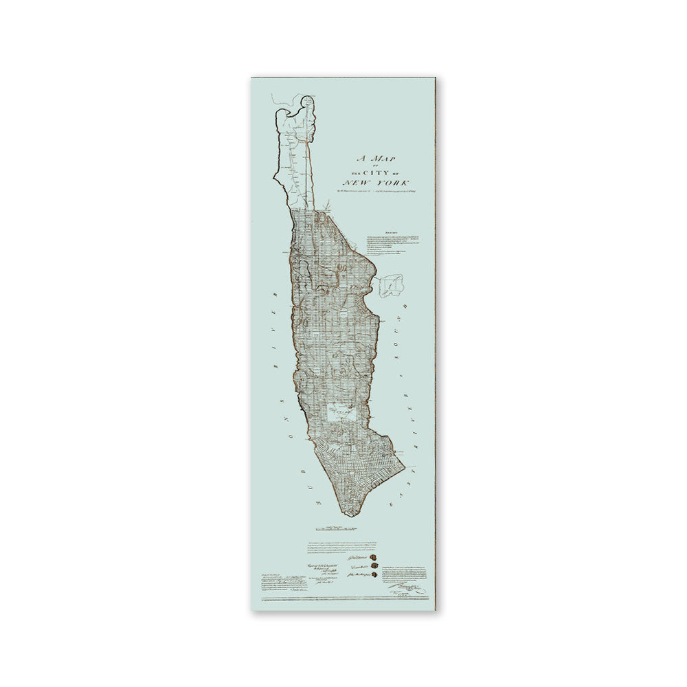 Seaglass Map of Manhattan Wooden Wall Art