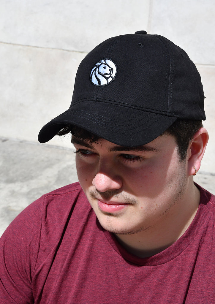 NYPL T-Shirts + Accessories | The New York Public Library Shop