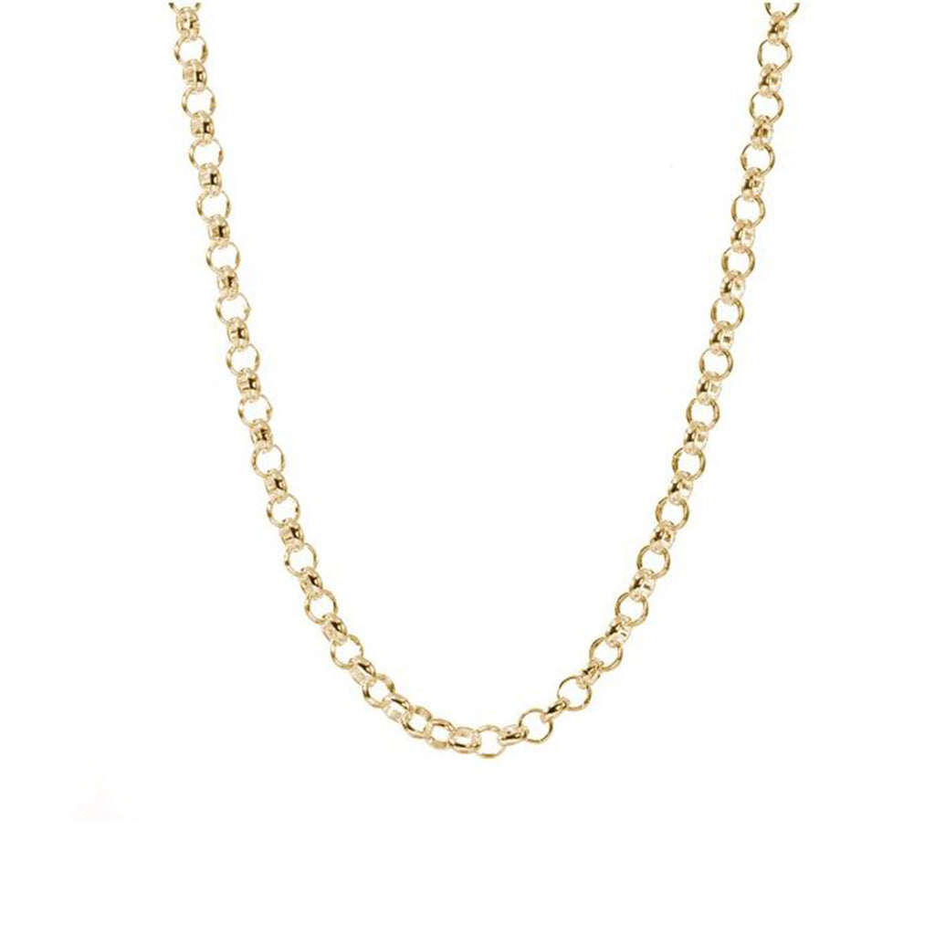 30'' Gold Rolo Chain - The New York Public Library Shop